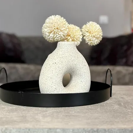 Apartment Cozy 1 Bedroom Hypercentre Cannes